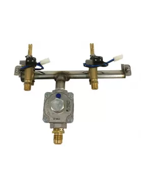 Fire Magic Valve Manifold Assembly for Deluxe Gourmet Countertop Grills