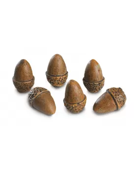 Real Fyre 6 Acorns