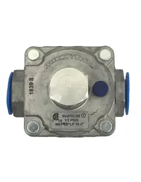Fire Magic Manifold Pressure Regulator, Convertible