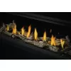Beach Fire Kit + $369.00 