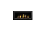 Napoleon Vector 38-Inch Direct Vent Natural Gas Fireplace
