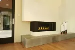 Napoleon Vector 38-Inch Direct Vent Natural Gas Fireplace
