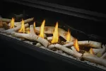 Napoleon Vector 50-Inch Direct Vent Natural Gas Fireplace