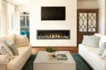 Napoleon Vector 62-Inch Direct Vent Natural Gas Fireplace