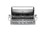 Napoleon Built-In 700 Series 44-inch Stainless Steel Gas Grill with Dual Infrared Rear Burners